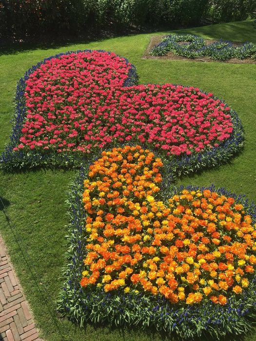 Благоустройство территории Ландшафтные работы