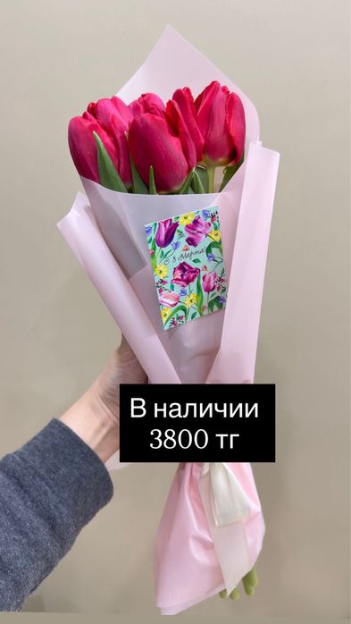 Цветы, белорусские тюльпаны