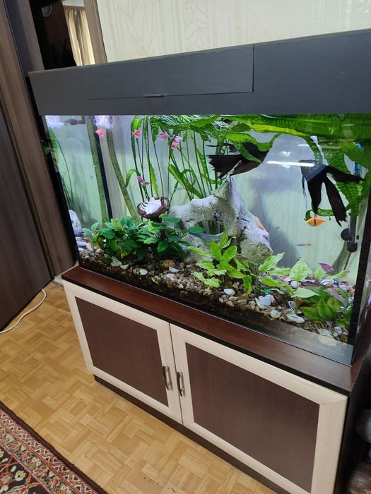 Аквариум 220л., рибки и шкаф