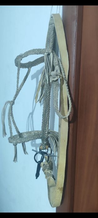 Қайыс жүген, қамшы (уздечка)