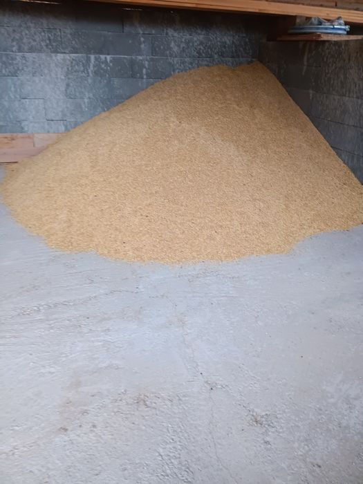 Vând orz,mai multe detalii la telefon