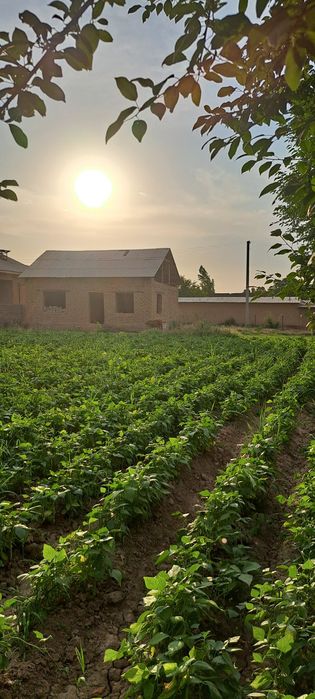 15 сотих ховли уй