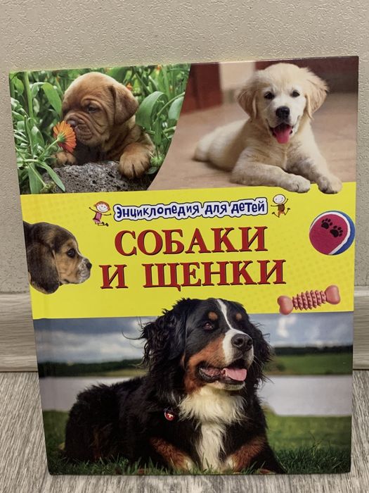 Настольные игры, книги