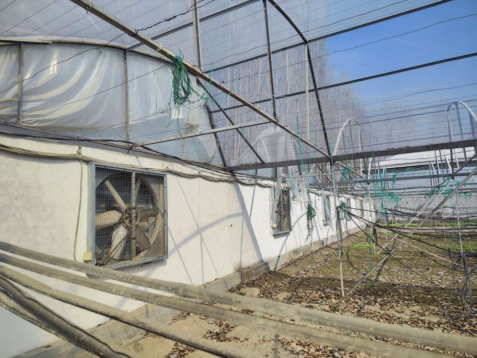 Ventelyator issiqxona teplitsa uchun