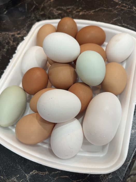 Продам домашние яйца