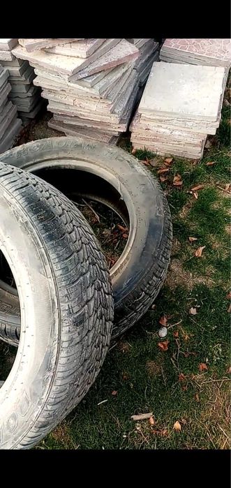 Продам шины