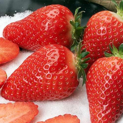 Разсад ягоди и малини