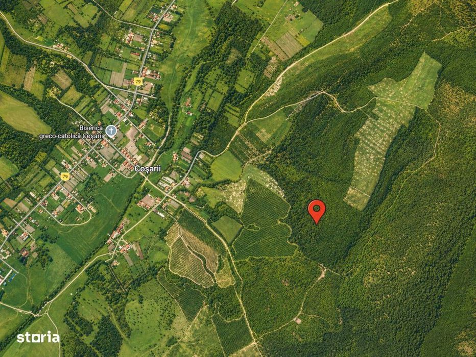 Teren 20 ha vestul Romaniei – ideal plantatie aluni / livada