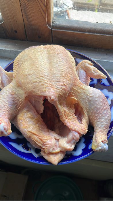 Бройлер город Шымкент