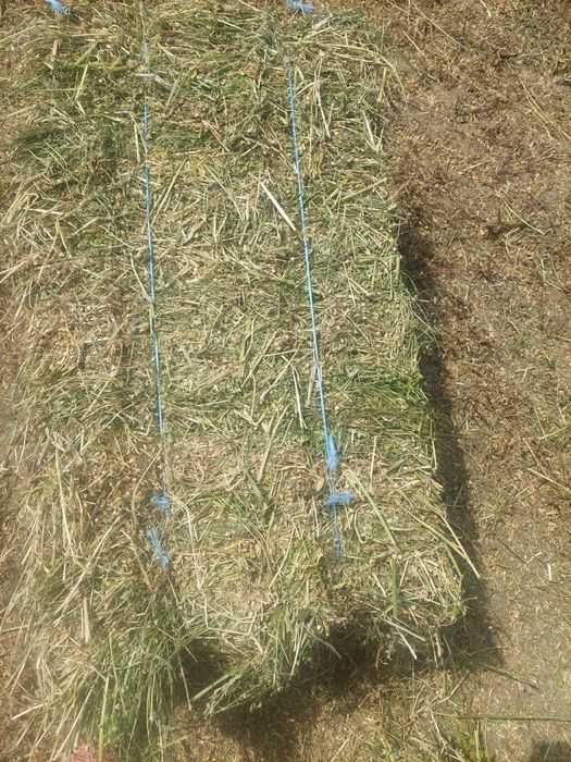Baloți de lucernă