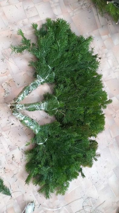 Веники для бани из пихты