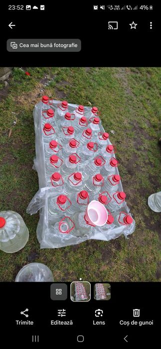 Mesteacan SEVA Mesteacan Stabilizată