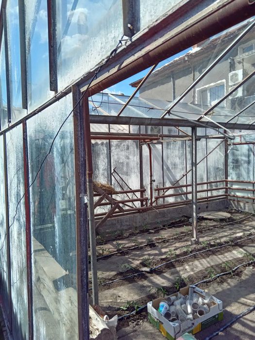 Стъклена оранжерия