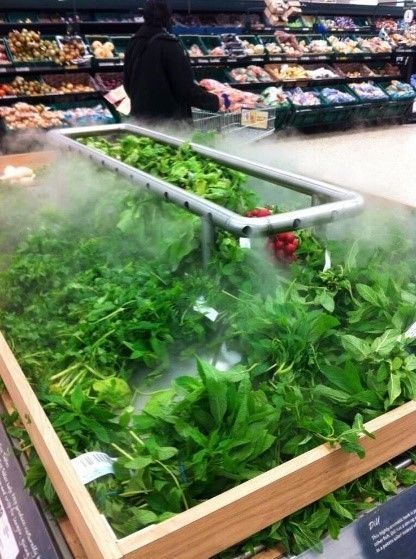 Увлажнитель, магазины, оранжерея, теплица, цветочные магазины