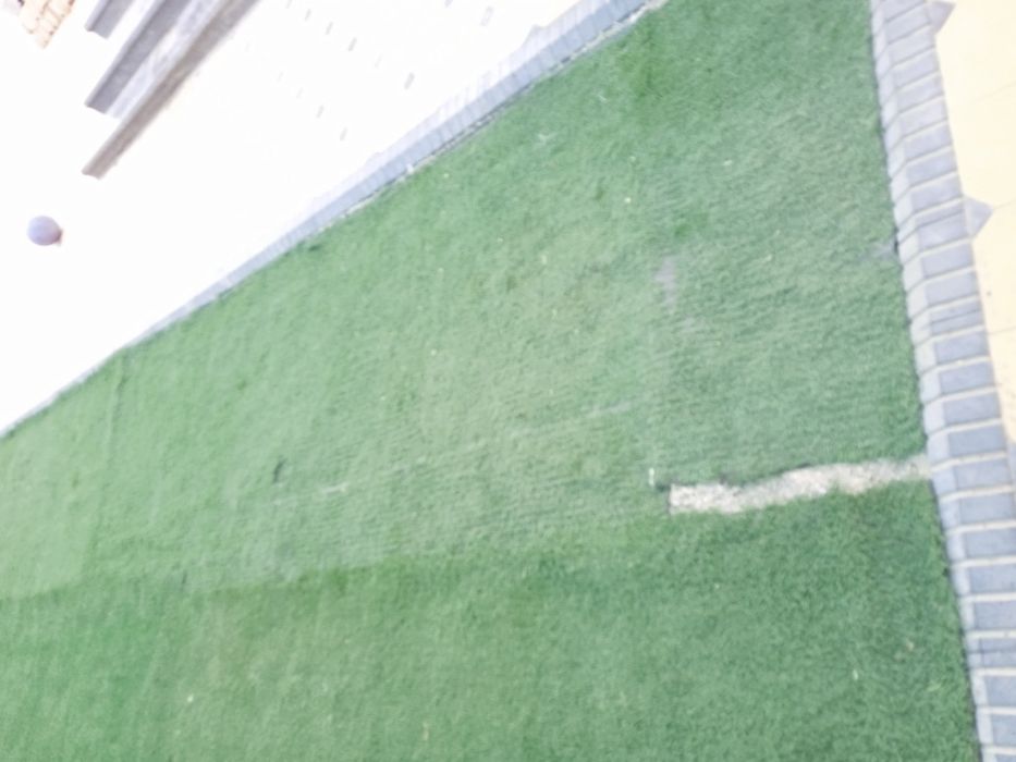 Чимлар хар хил сотилади