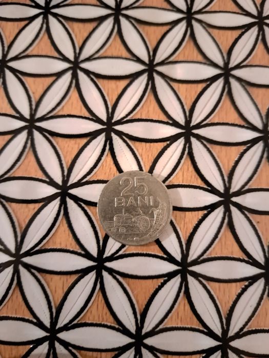 Moneda 25 bani din 1966
