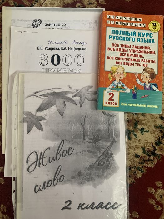 1-4 кл  дополнит книжки  для руск школы