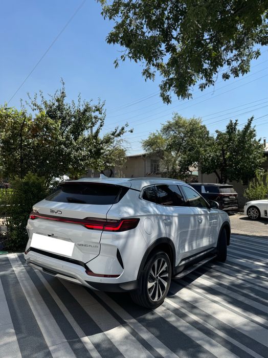 Byd chempion 2026 yil 150 talik