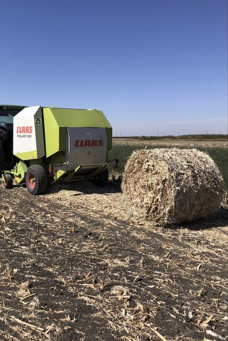 Claas rollant 240