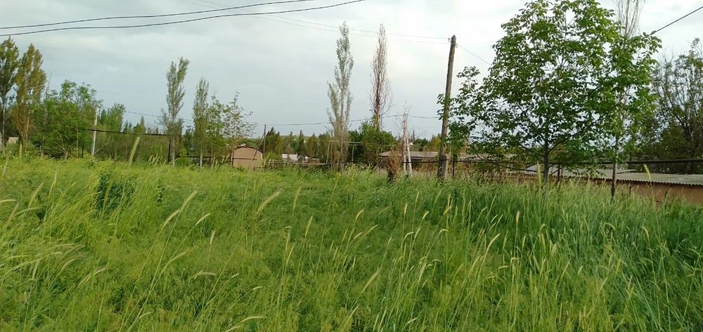 Yer uchaska dom земля дом участка курсой