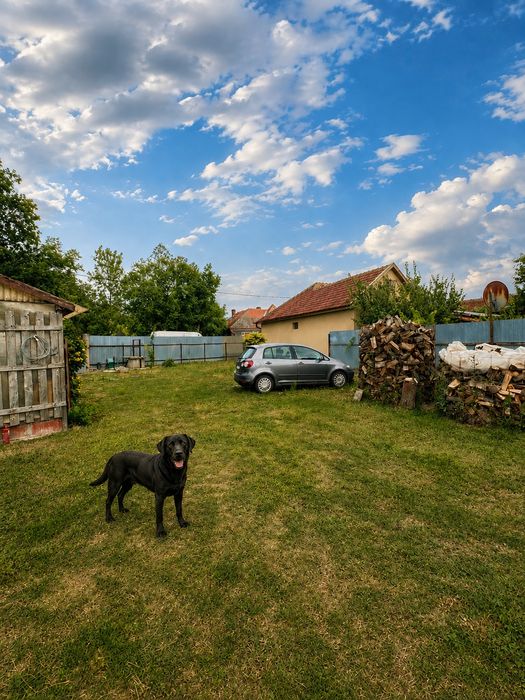 Casă mobilată + teren 1.336 m², Gurbediu, Bihor – locuibilă imediat