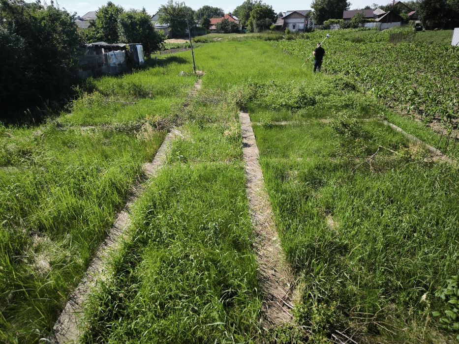 Teren intravilan 800 mp + fundație 135 mp | Roznov, Slobozia – Strada Răculești | Ideal pentru casă