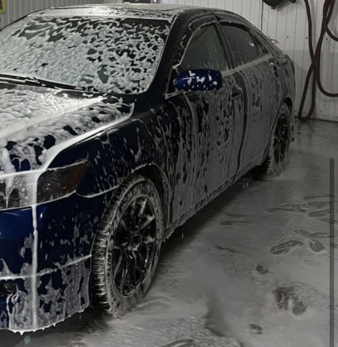 Дика хорошый состояения