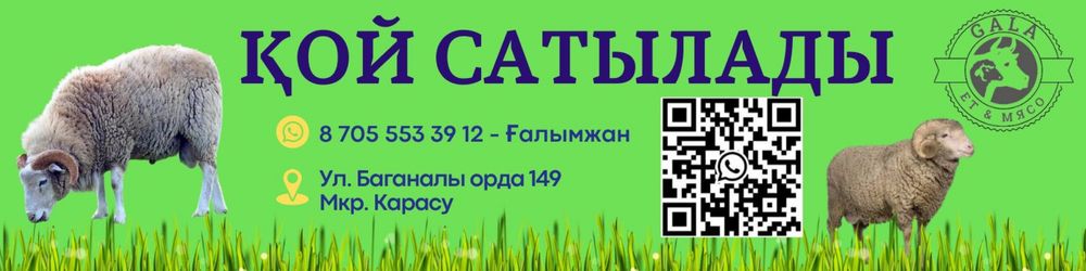 қой токты ешкілер сатылады