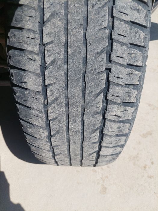 Пакришка летни бар