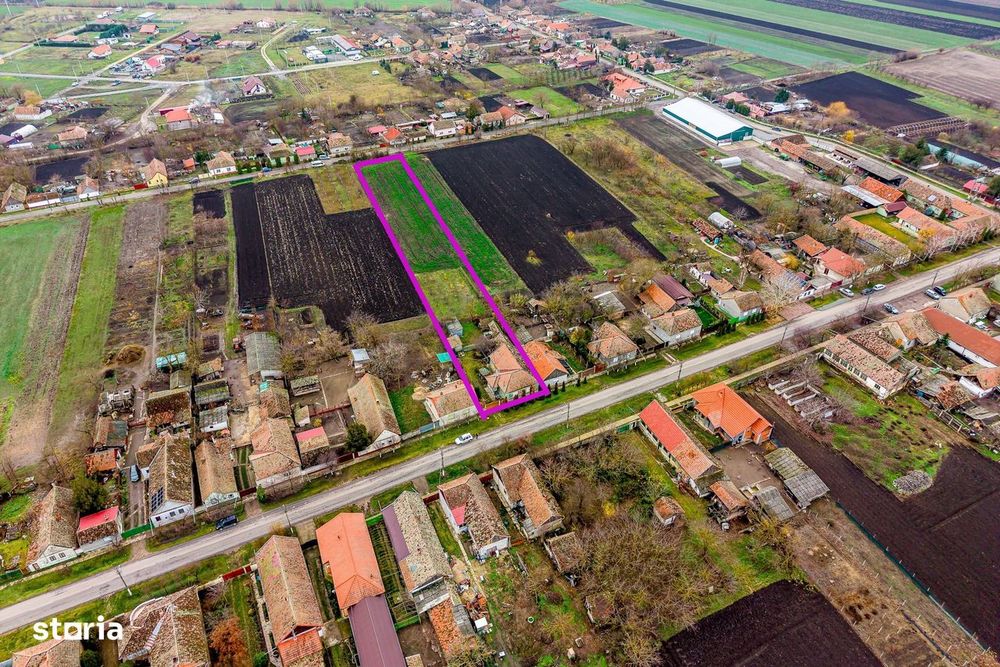 Un domeniu rural, definit prin spațiu și libertate în Dorobanți