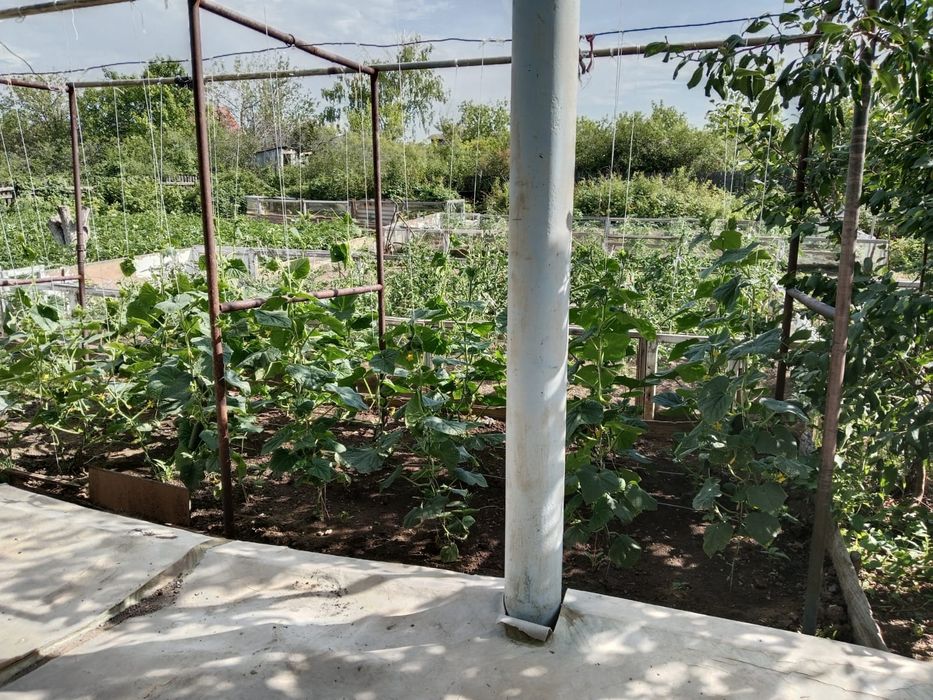 Продам дачу с домиком