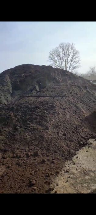 Перегной, Чернозем