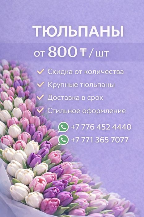 Тюльпаны предзаказ