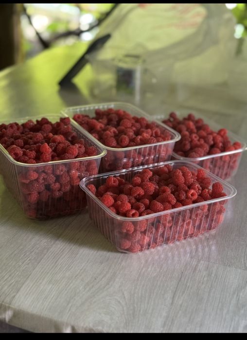 Малина домашняя
