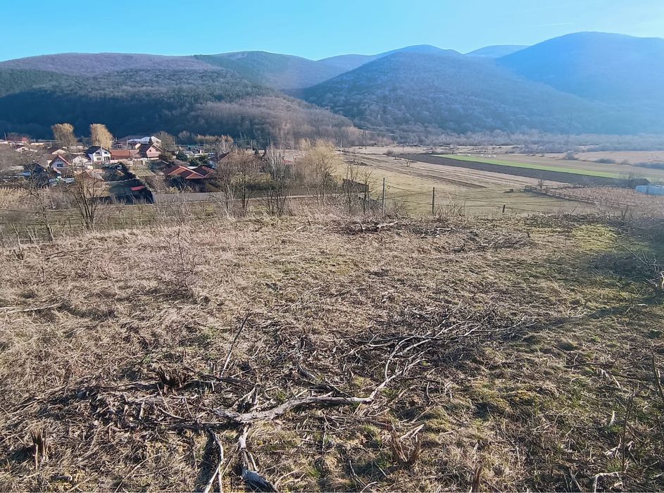 Teren de vanzare - 1700m2 Sard