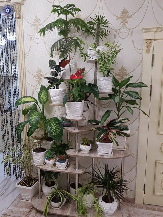 Мебель для гостинной