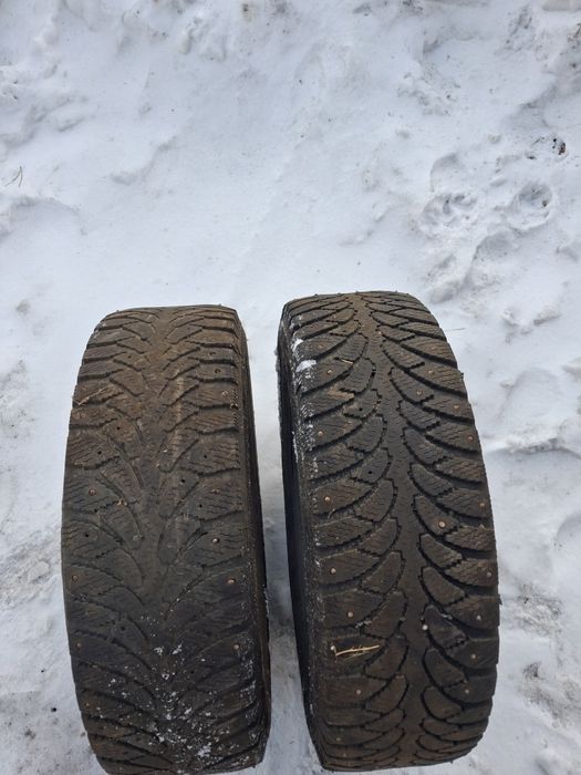 Продам две покрышки зимние Тунга