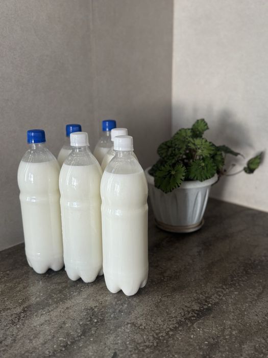 Продам кымыз натуральный