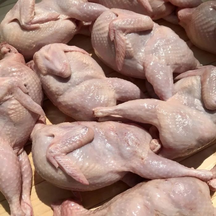 Мясо перепелов. Перепёлки