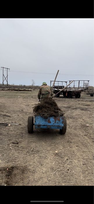 Продам мотоблок с прицепом.