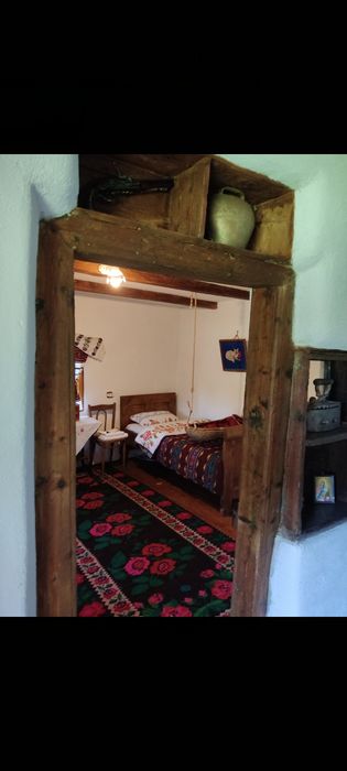 Vând proprietate la muntePolovragi-Racovita,zonă cu potențial turistic