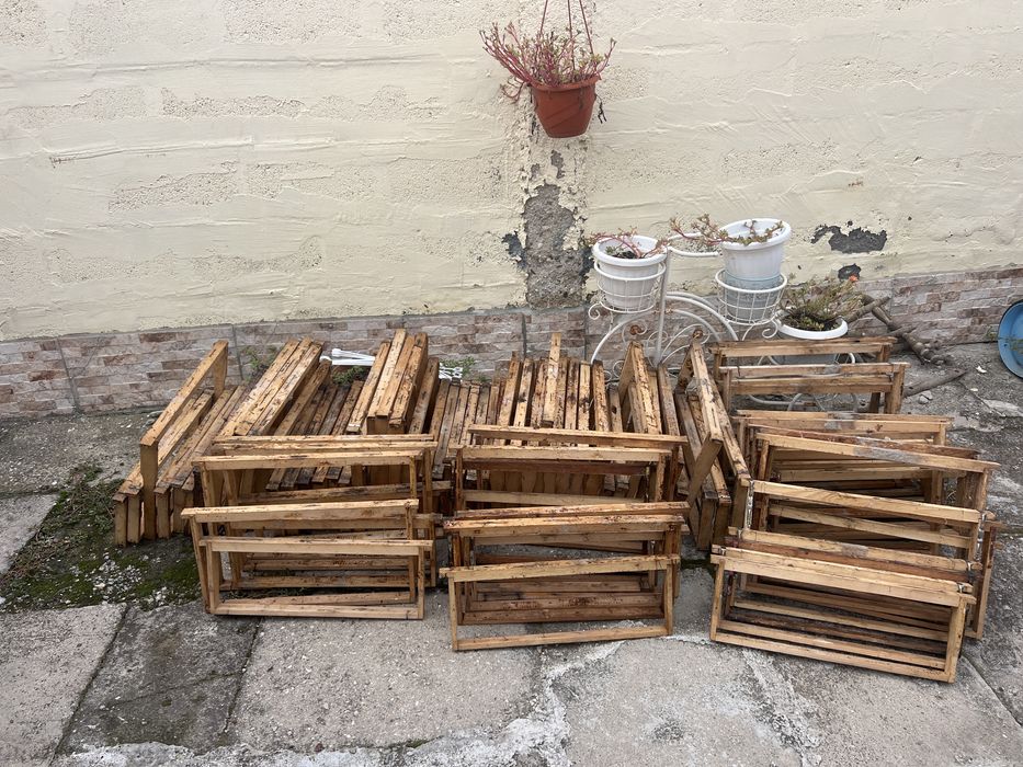 Продавам кошери многокорпусни и дадан блат