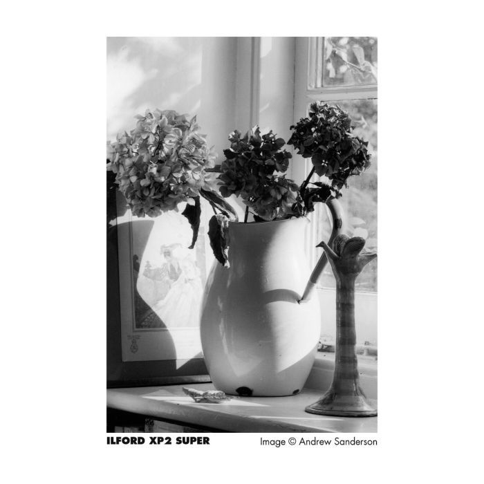 ILFORD XP2 400 Black & White Film 35mm