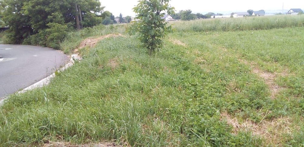 Teren intravilan de vanzare 1500 mp front 29in oraș salcea județ Suceava strada paieni Nr 30 A