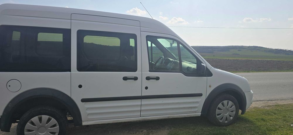 FORD Tourneo Connect 2011 — imagine 2