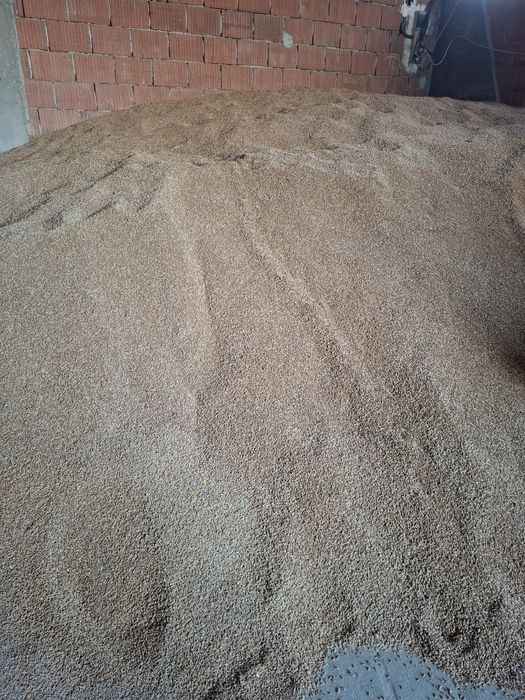 Vand porumb ,triticale si floarea soarelui