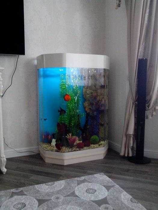 Чистка аквариумов.