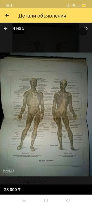 Книга Ранке Человек