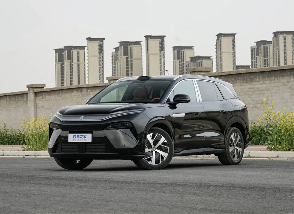 BYD tang L ev and DM-i