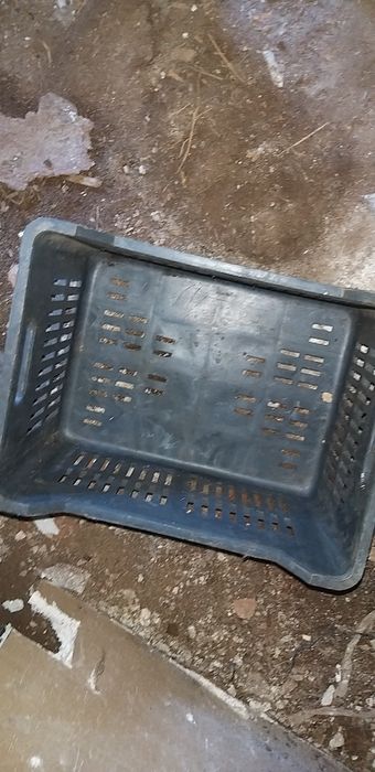 Касетки за храна плодове и зеленчуци